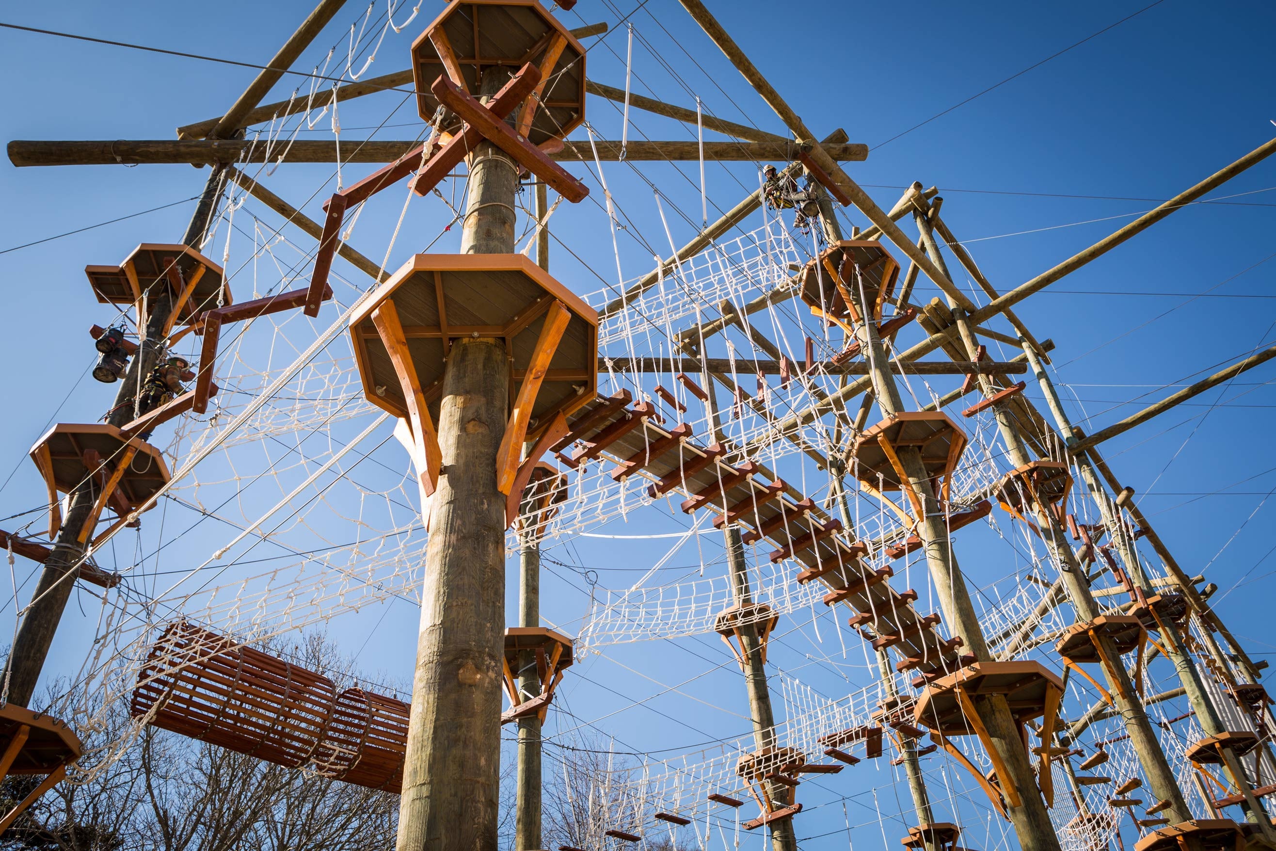 There’s An Incredible Adventure Park Hiding In The Middle Of This Colorado Forest