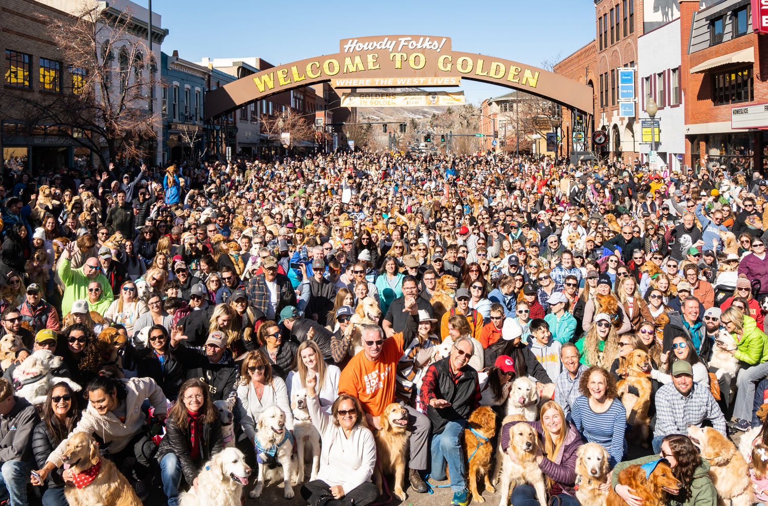 Goldens in Golden a One of a Kind Annual Event