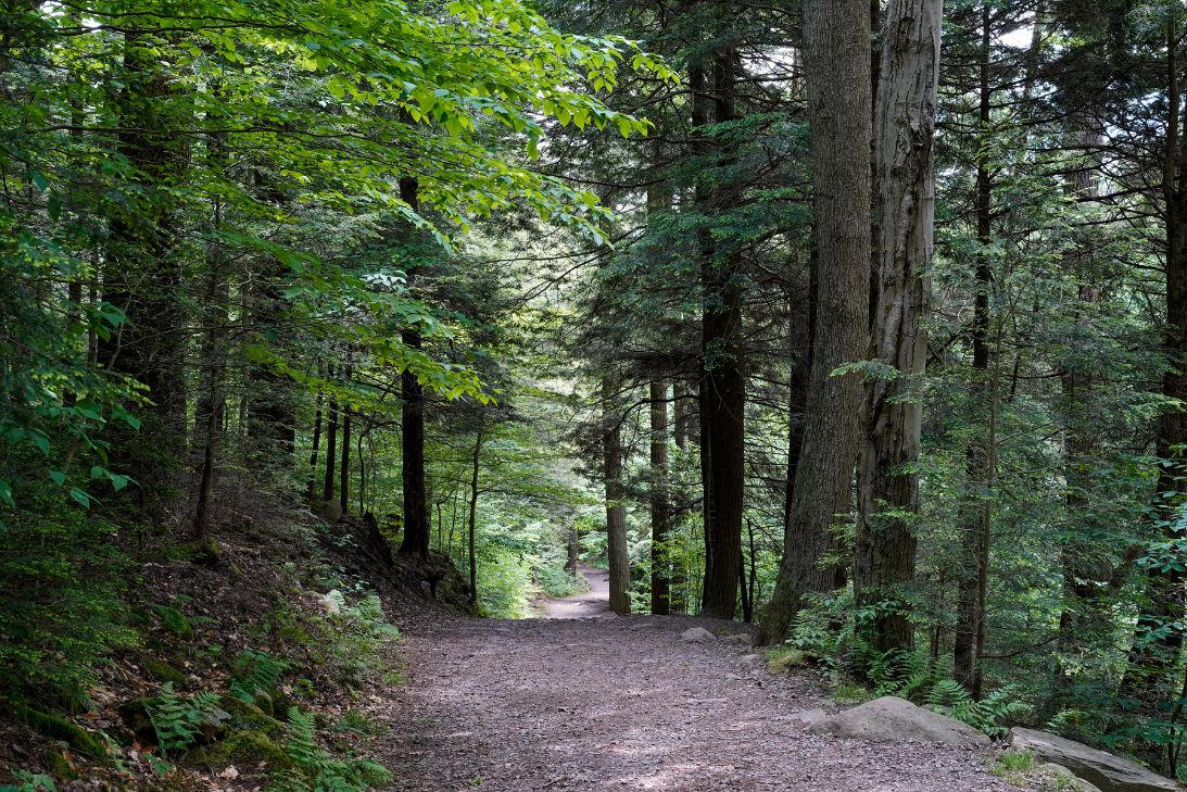 8 Ways To Live a More Outdoorsy Lifestyle