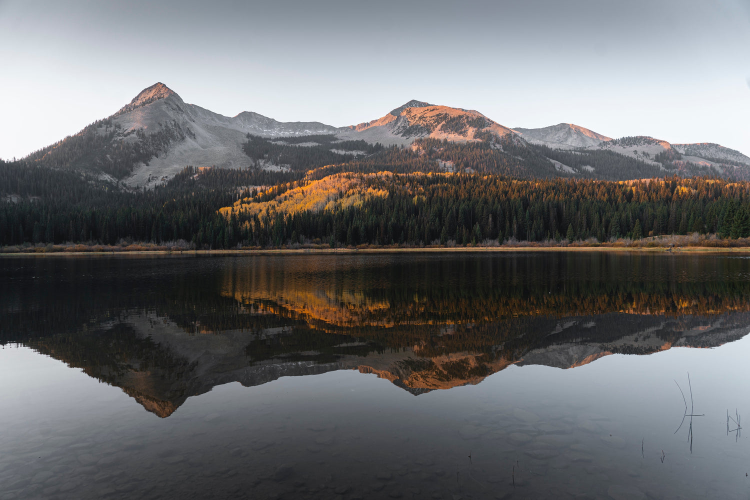 Your 2021 Guide to Catching The Best of Colorado Fall Colors
