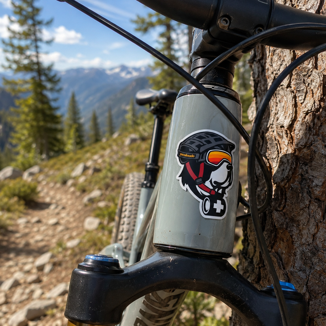 NSP Biker Blizz Sticker