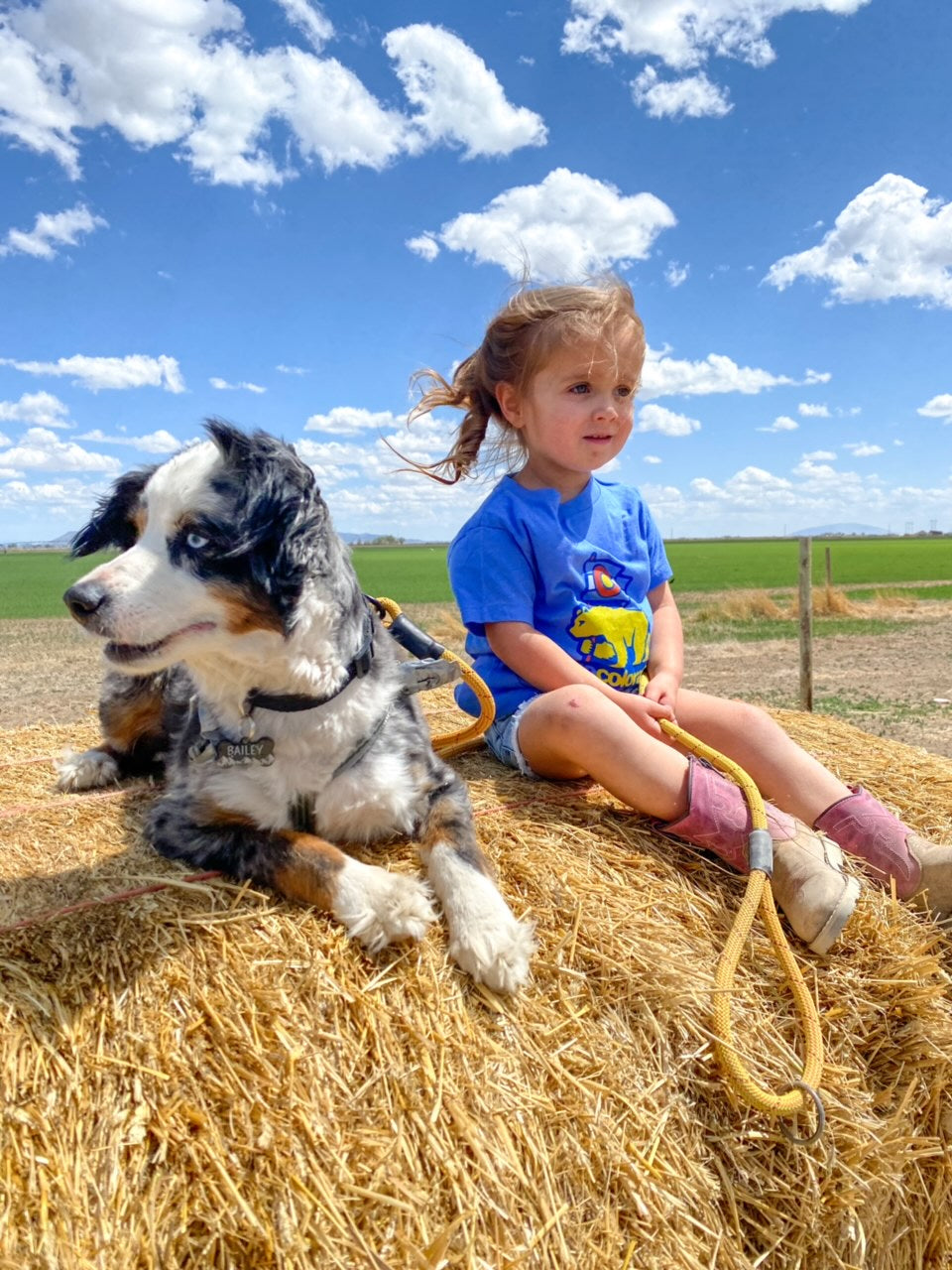 Best Buddy Upcycled Dog Leash - Purple Haze / Red