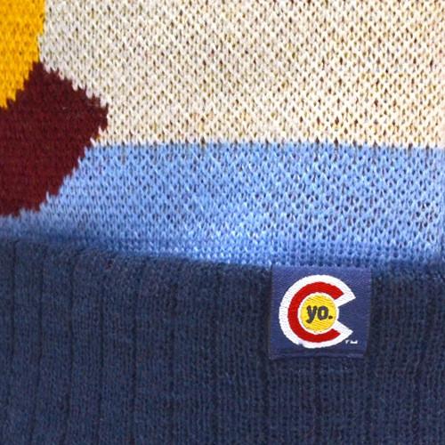 Vintage Colorado State Flag Beanie