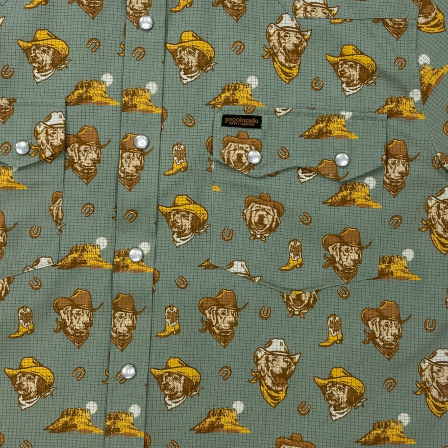Enduro Dog Days Western Snap Shirt