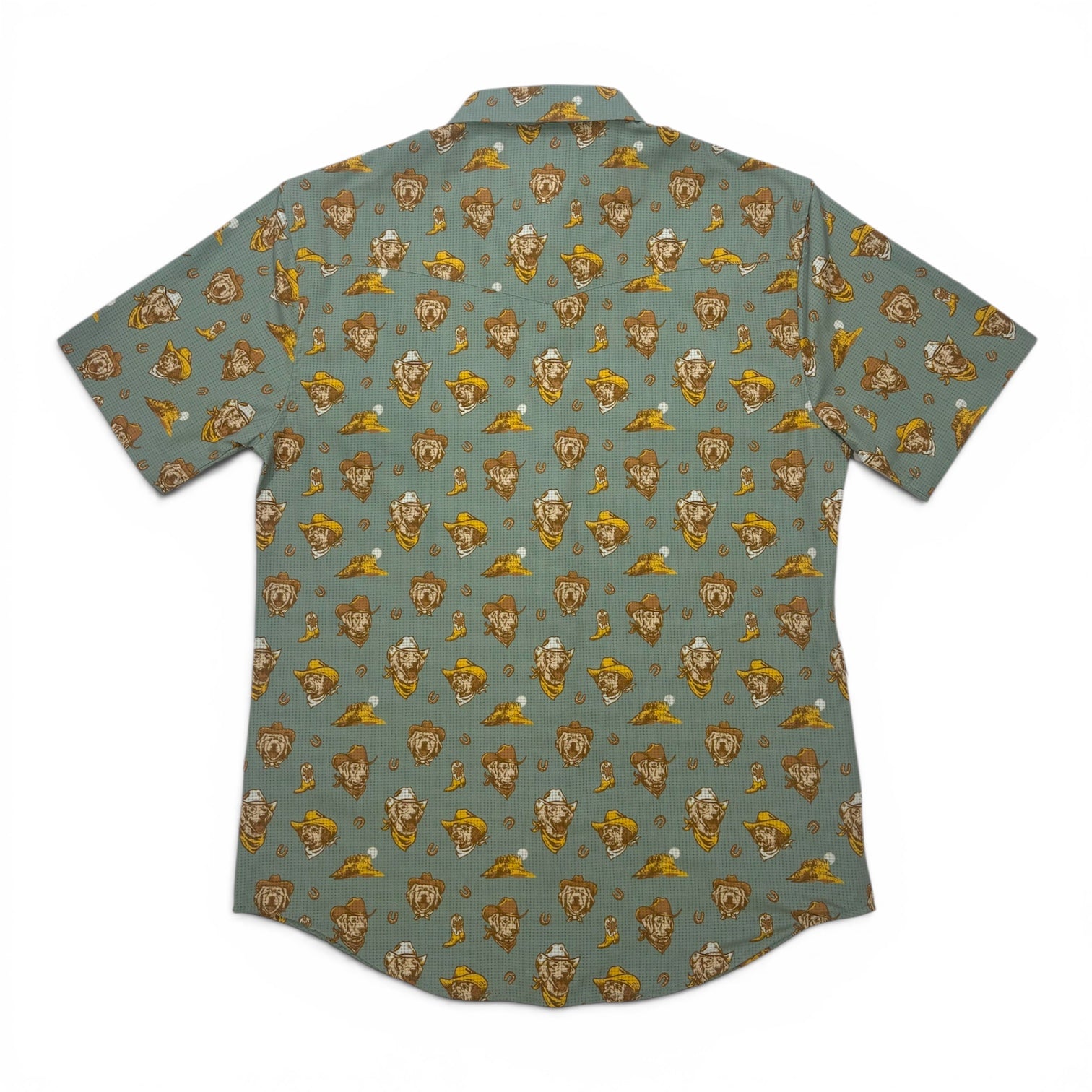 Enduro Dog Days Western Snap Shirt