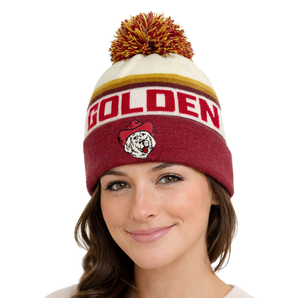 Argyle Colorado Mountain Rainbow Beanie | YoColorado