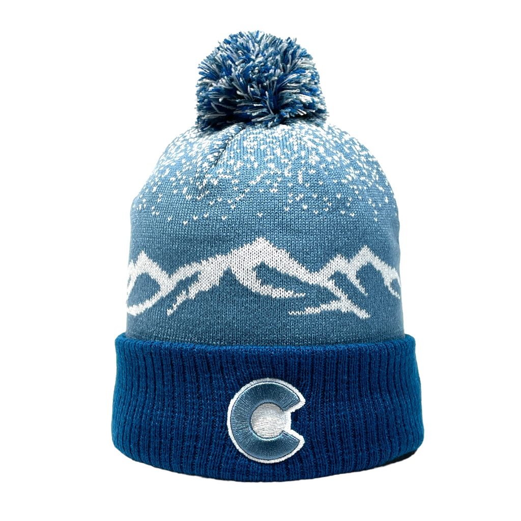Powder Day Recycled Beanie